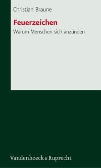 Book Cover for Feuerzeichen by Anna Quindlen