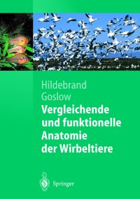 Book Cover for Vergleichende Und Funktionelle Anatomie Der Wirbeltiere by Milton Hildebrand, George Goslow