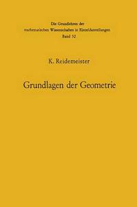 Book Cover for Vorlesungen Uber Grundlagen Der Geometrie by Kurt Reidemeister