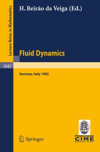 Book Cover for Fluid Dynamics C.I.M.E. Foundation Subseries by H Beirao da Veiga