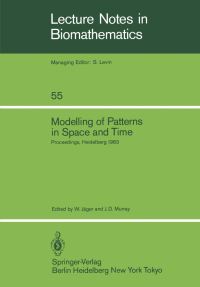 Book Cover for Modelling of Patterns in Space and Time by W Jäger, JD Murray