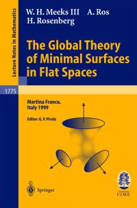 Book Cover for The Global Theory of Minimal Surfaces in Flat Spaces by WH III Meeks, A Ros, H Rosenberg