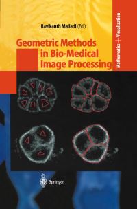 Book Cover for Geometric Methods in Bio-Medical Image Processing by Ravikanth Malladi