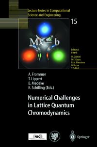 Book Cover for Numerical Challenges in Lattice Quantum Chromodynamics by Andreas Frommer, Thomas Lippert, Bjoern Medeke, Klaus Schilling