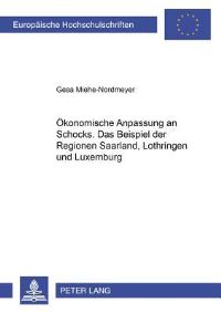 Book Cover for Okonomische Anpassung an Schocks by Gesa Miehe-Nordmeyer