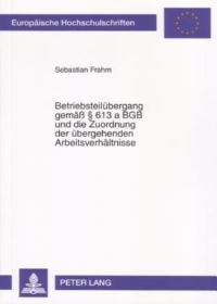 Book Cover for Betriebsteilubergang Gemaß § 613 a BGB Und Die Zuordnung Der Ubergehenden Arbeitsverhaltnisse by Sebastian Frahm