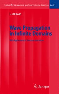 Book Cover for Wave Propagation in Infinite Domains by Lutz Lehmann