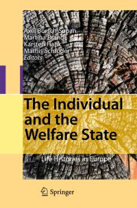 Book Cover for The Individual and the Welfare State by Axel BörschSupan