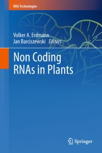 Book Cover for Non Coding RNAs in Plants by V A Erdmann, Jan Barciszewski