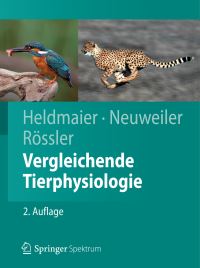 Book Cover for Vergleichende Tierphysiologie by Gerhard Heldmaier, Gerhard Neuweiler, Wolfgang Rössler