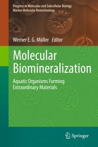 Book Cover for Molecular Biomineralization Marine Molecular Biotechnology by Werner E G Müller