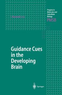 Book Cover for Guidance Cues in the Developing Brain by Ivica Kostovic