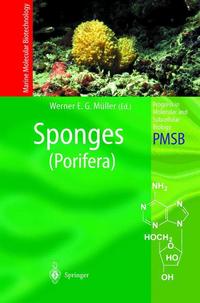 Book Cover for Sponges (Porifera). Marine Molecular Biotechnology by Werner E G Müller