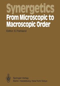 Book Cover for Synergetics — From Microscopic to Macroscopic Order by E Frehland