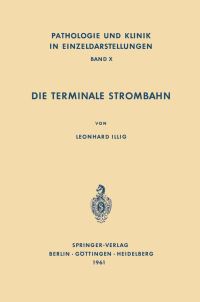 Book Cover for Die Terminale Strombahn by L Illig