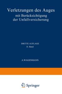 Book Cover for Verletzungen Des Auges by A Wagenmann