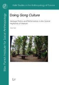 Book Cover for Doing Gong Culture by Hoai Tran