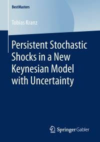 Book Cover for Persistent Stochastic Shocks in a New Keynesian Model With Uncertainty by Tobias Kranz