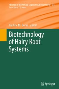 Book Cover for Biotechnology of Hairy Root Systems by Pauline M Doran