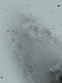 Book Cover for Florian Schwarz by Christoph Bauer