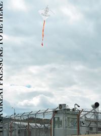 Book Cover for Raul Walch by Lukas Feireiss, Francesca Gavin, Fiona Shipwright