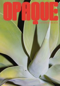 Book Cover for Stephie Braun - Opaque by Stephie Braun