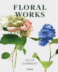 Book Cover for Felix Dobbert by Felix Dobbert