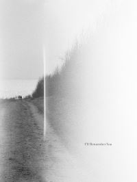 Book Cover for I'll Remember You by Mats Dahlström