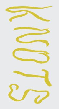 Book Cover for Seth Price, Knots by Seth Price, Bettina Funcke