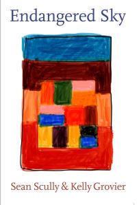 Book Cover for Endangered Sky by Kelly Grovier, Sean Scully