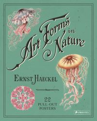 Book Cover for Art Forms in Nature by Ernst Haeckel
