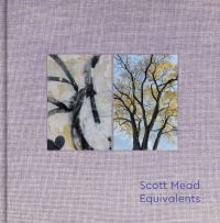Book Cover for Equivalents by Scott Mead