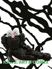Book Cover for KAWS by Ralph Gleis, Angela Stief, Florian Waldvogel