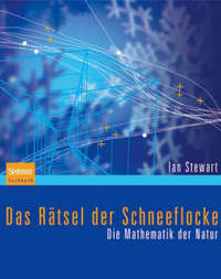 Book Cover for Das Ratsel Der Schneeflocke by Ian Stewart