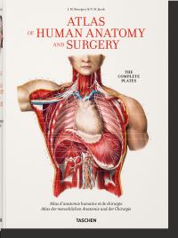 Book Cover for Atlas of Human Anatomy and Surgery by J M Bourgery, JeanMarie Le Minor, Henri Sick