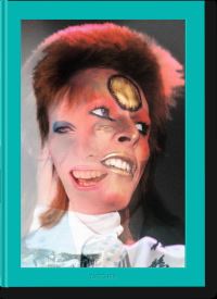 Book Cover for The Rise of David Bowie, 1972-1973 by Michael Bracewell