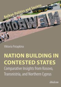 Book Cover for Nation Building in Contested States by Viktoria Potapkina