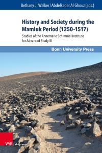 Book Cover for History and Society During the Mamluk Period (1250-1517) by Raymond Ruhaak, AssProf Christian Mauder, Haggai Mazuz, Caterina Bori, emer UnivProf Dr Yehoshua Frenkel, Prof Dr Reuven Amitai, Aleksandar Shopov, Hend Elsayed, Carine Juvin