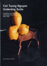 Book Cover for Underdog Suite by Cat Tuong Nguyen, Nadine Olonetzky, Burkhard Meltzer