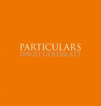 Book Cover for Particulars by David Goldblatt
