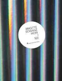 Book Cover for Brigitte Kowanz - Now I See by Anton Zeilinger, Edelbert Köb, Peter Weibel, Rainer Fuchs, Riccardo Caldura, Museum Moderner Kunst Austria