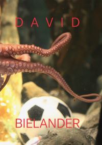 Book Cover for David Bielander by David Bielander