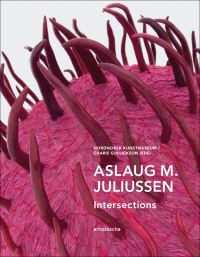Book Cover for Aslaug M. Juliussen by Bergljot Børresen, Nordnorsk kunstmuseum, Modum blaafarveværk, Anchorage Museum at Rasmuson Center