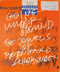 Book Cover for Going Underground by Bernhard Schobinger