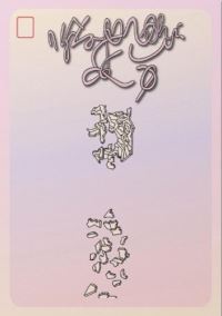 Book Cover for Infinite Recognition by Chloe Feinberg