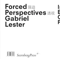 Book Cover for Gabriel Lester by Lee Ambrozy, Gabriel Lester, Philippe Pirotte, Vivian Sky Rehberg