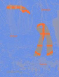 Book Cover for Please Listen Hurry Others Speak Better by Amalia Pica