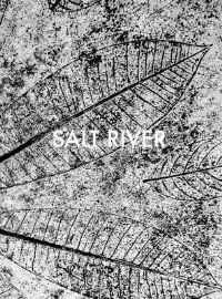 Book Cover for Salt River by Sebastian Posingis