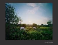 Book Cover for Jerry Spagnoli - Local Stories by Jerry Spagnoli