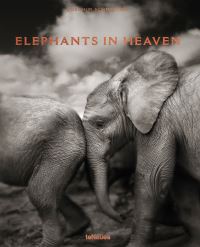 Book Cover for Elephants in Heaven by Joachim Schmeisser